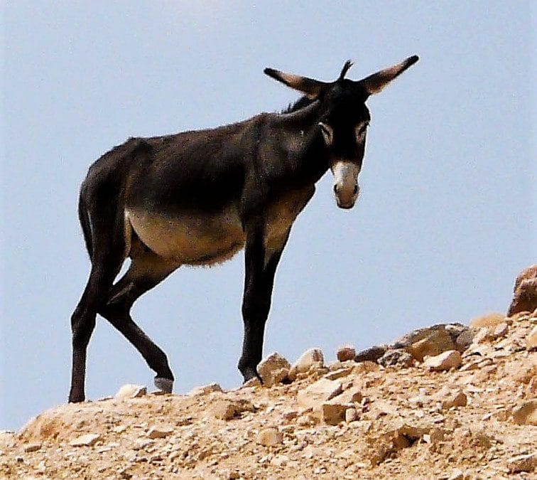 Au-delà des apparences…